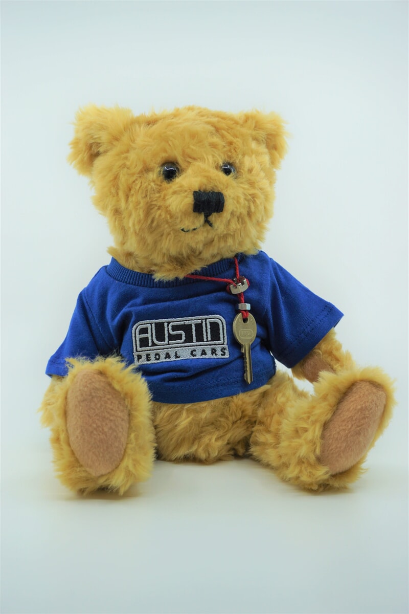 Austin teddy bear main product photo